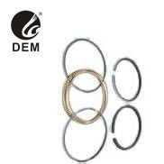 Para Renault OD-RE10 810.01-10 R10 R5LS R5TS R5GTL R12TL Anéis de pistão Anéis de óleo